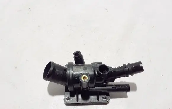 Dacia Duster Thermostat/thermostat housing 110611151R