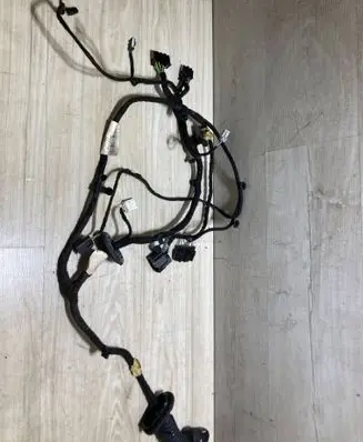 Front door wiring loom