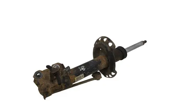 Opel Astra H Front shock absorber/damper 22214604