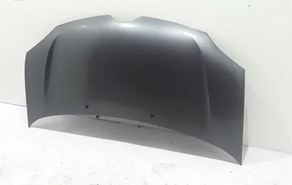 Engine bonnet/hood