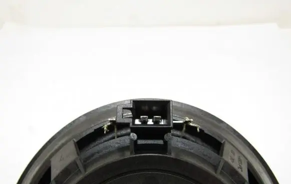 Rear door speaker