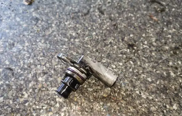 Fiat Doblo Camshaft speed sensor 55201874