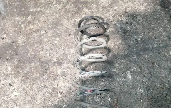 Ford Fiesta Rear coil spring