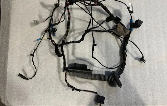BMW X6 E71 Front door wiring loom 720988103 77708961