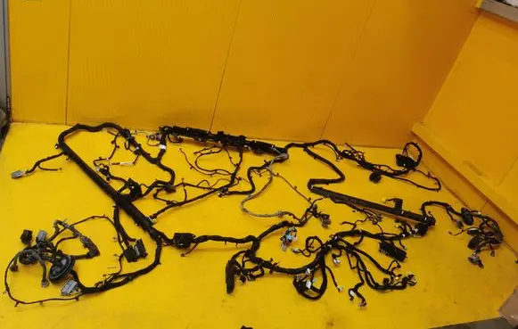 Chevrolet Volt I Other wiring loom 22854036