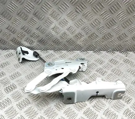 BMW X5 G05 Engine bonnet/hood hinges 7418201 7418188