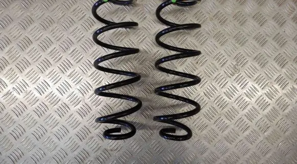 Toyota C-HR I Rear coil spring 48231F4071