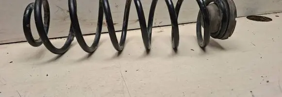 Rear coil spring