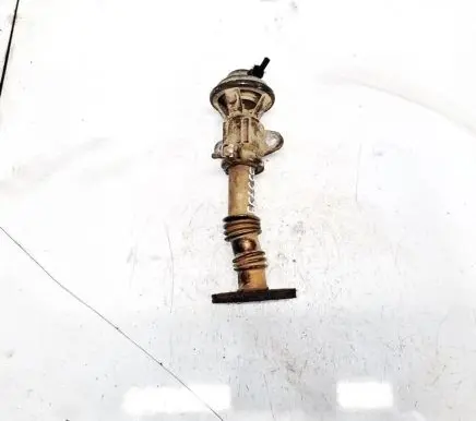 EGR valve