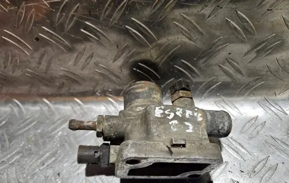 Thermostat/thermostat housing