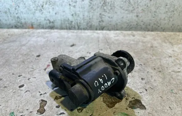 Volkswagen Caddy EGR valve 03G131501 70067801