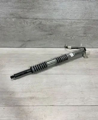 Tailgate/trunk strut/damper