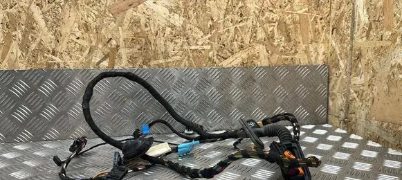 Volkswagen Polo V 6R Front door wiring loom 1609101371