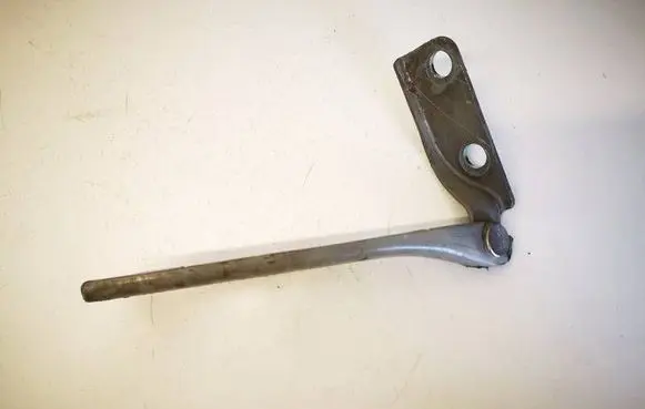 Ford Fiesta Engine bonnet/hood hinges 2S6116800AE