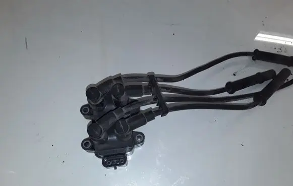 Dacia Dokker High voltage ignition coil 224336134