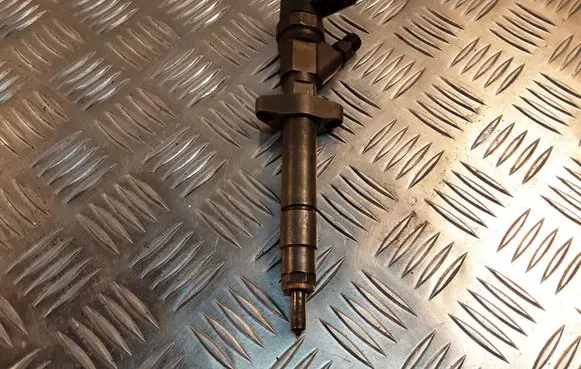 Renault Espace - Grand espace IV Fuel injector 0445110084