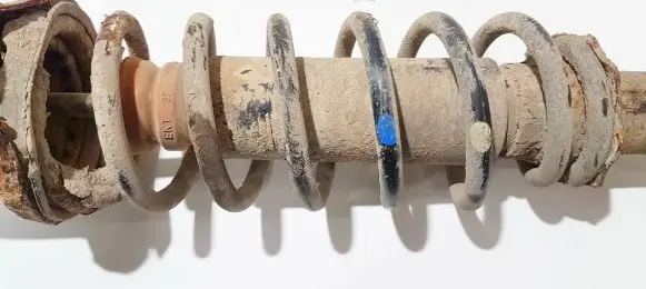 Rear coil spring
