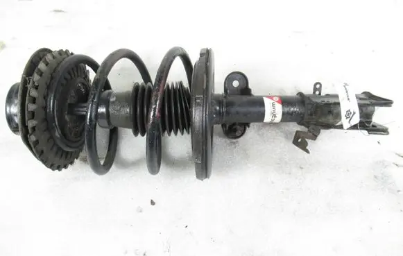 Chrysler Voyager Front shock absorber with coil spring