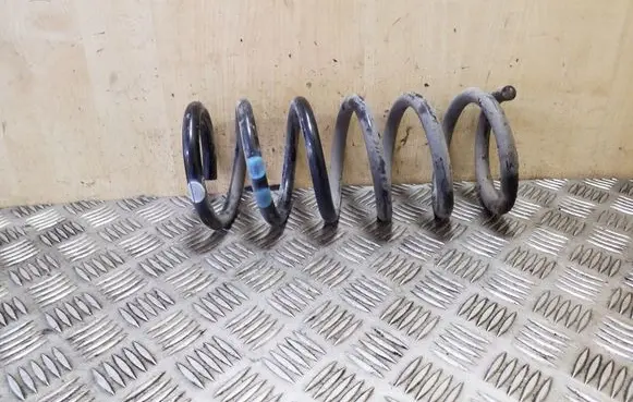 Chevrolet Captiva Rear coil spring