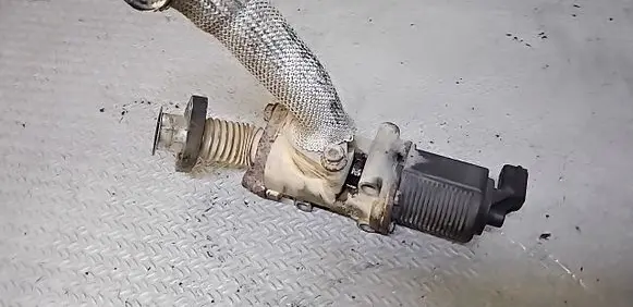 Fiat Doblo EGR valve 50024005