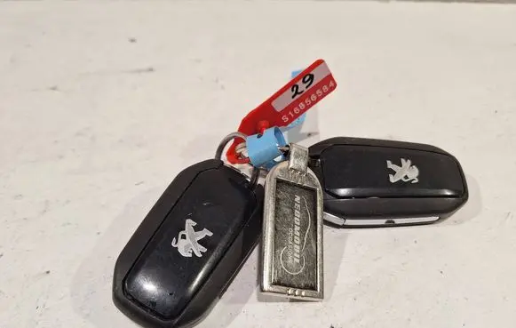Peugeot 508 Ignition key/card 