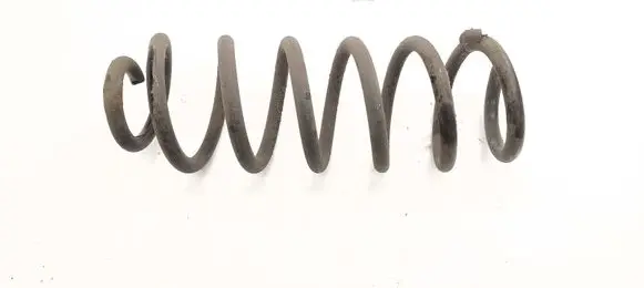Rear coil spring
