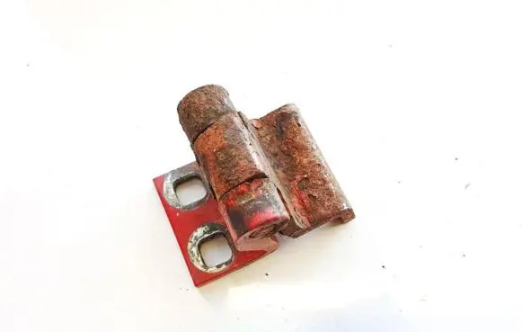 Rear door lower hinge