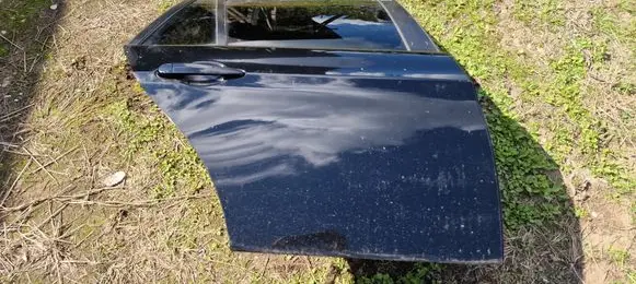 Rear door