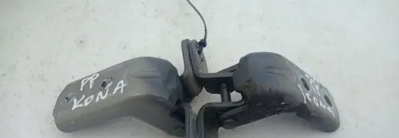 Hyundai Kona I Front door hinge set 18798