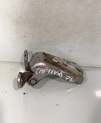 Chevrolet Captiva Front door lower hinge 