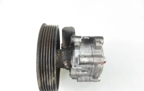 Dacia Duster Power steering pump 
