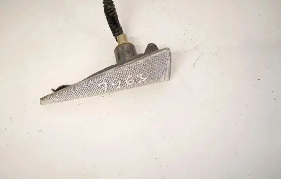 Front fender indicator light