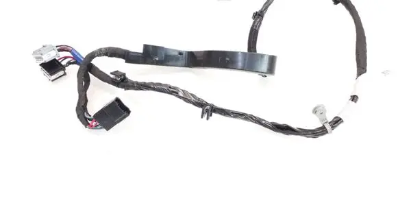 Rear door wiring loom