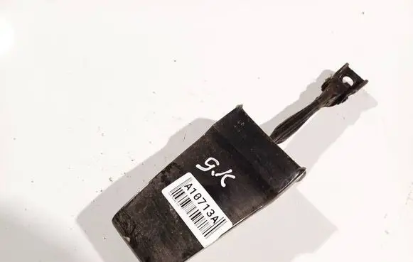 Skoda Superb B6 (3T) Rear door check strap stopper 