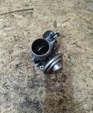 EGR valve