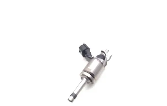 Nissan Qashqai Fuel injector H8201438013