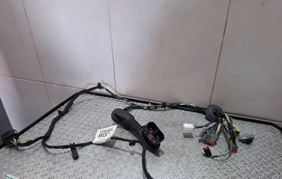 Ford S-MAX Front door wiring loom BG9T14K138