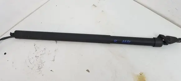 Tailgate/trunk strut/damper