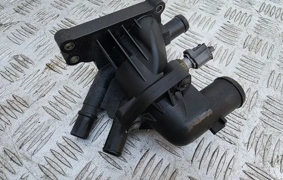 Thermostat/thermostat housing