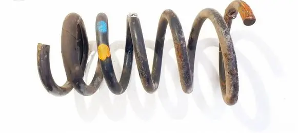 Rear coil spring
