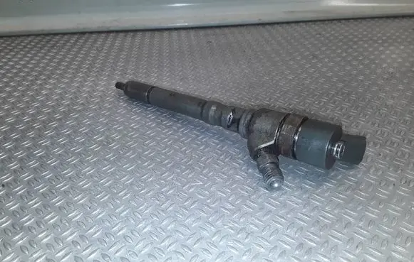 Hyundai Santa Fe Fuel injector 0445110101