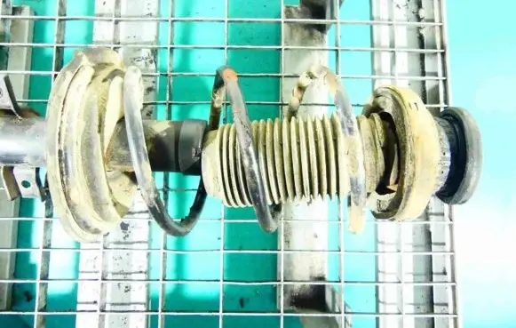 Rear coil spring