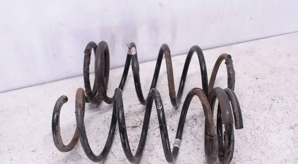 Rear coil spring