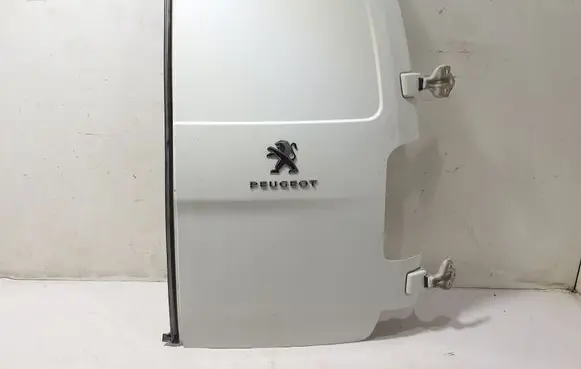 Peugeot Expert Back/rear loading door 9811894980