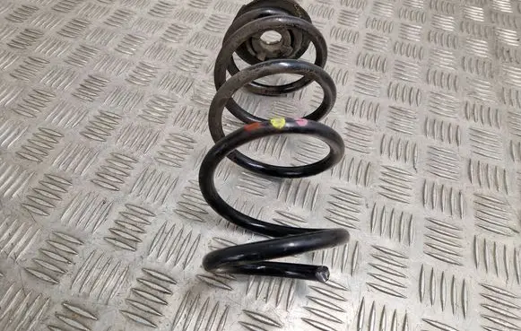 Rear coil spring
