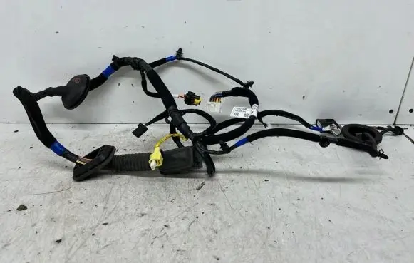 Hyundai i30 Front door wiring loom 91602-G4100