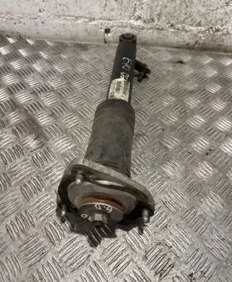 BMW X5 E70 Rear shock absorber/damper 6780172