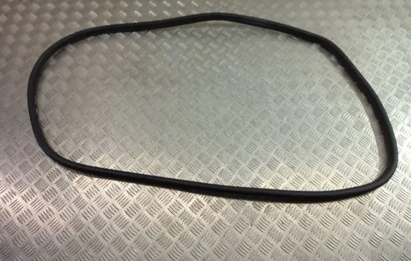 BMW X1 F48 F49 Rear door rubber seal (on body) 7349665