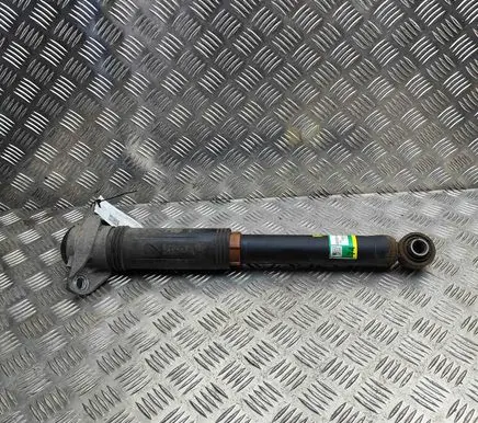 Toyota RAV 4 (XA50) Rear shock absorber/damper 4853042140
