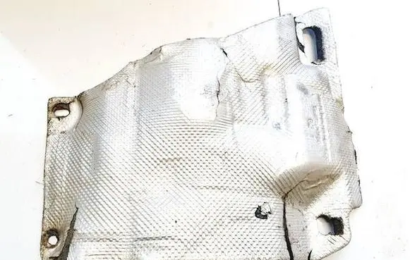 Exhaust heat shield